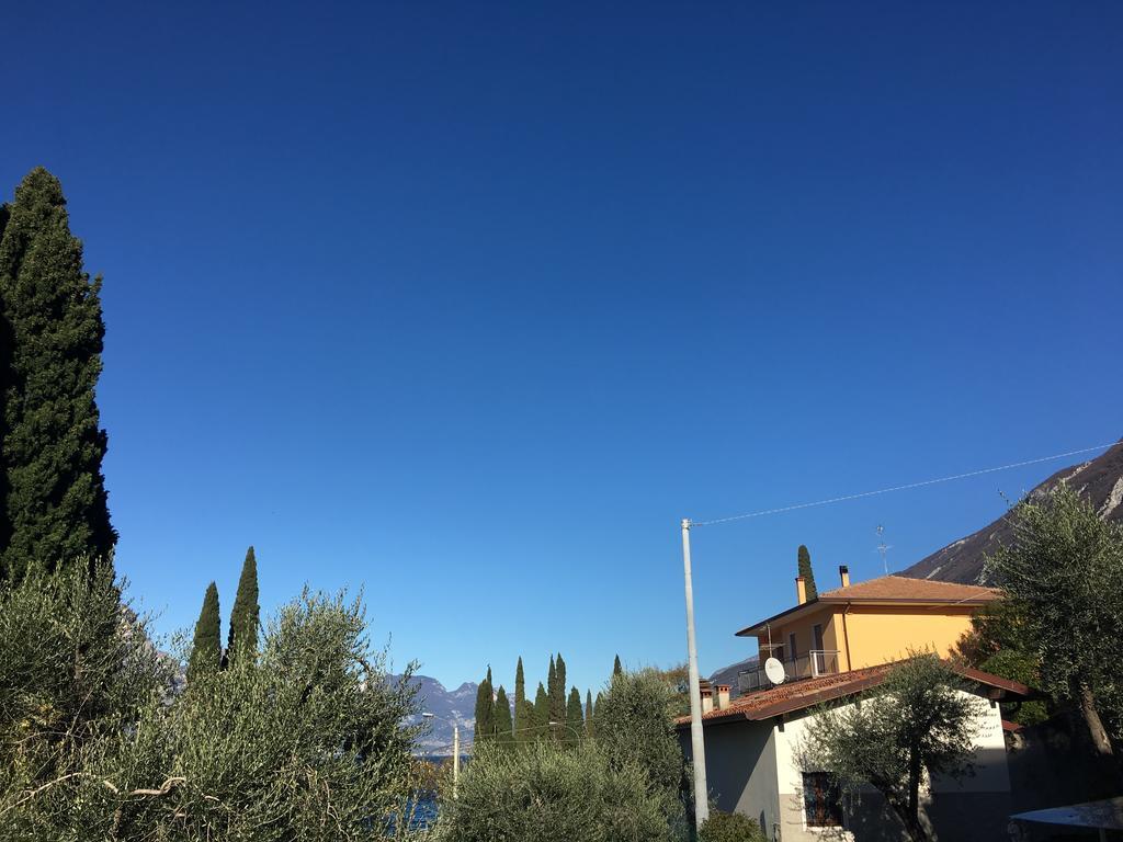 Vela Azzurra Navene